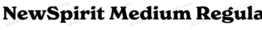 NewSpirit Medium Regular字体转换